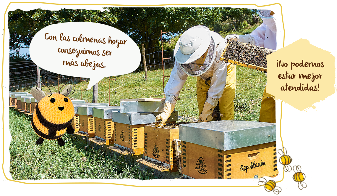 savethebzzz, colmenas hogar