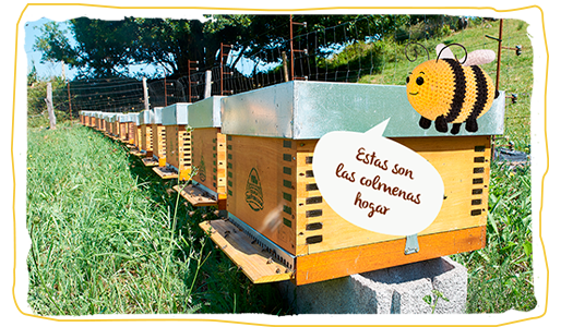 savethebzzz, colmenas hogar 2