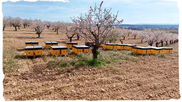 ¡Ya está aquí la primavera!