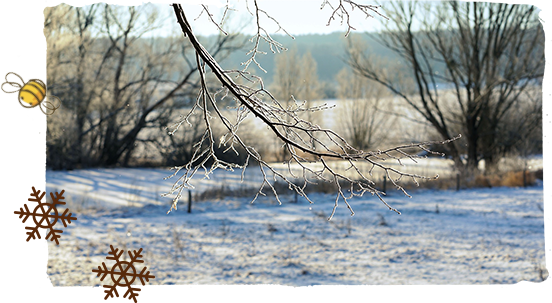 Adiós, frío invierno