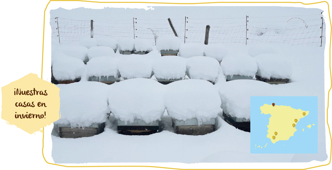 Adiós, frío invierno, colmenas