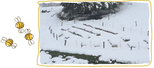 Adiós, frío invierno, colmenas nevadas
