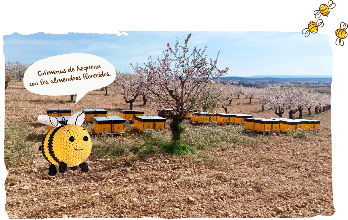 Ya está aquí la primavera, colmenas
