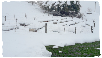 ¡Adiós, frío invierno!