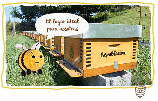 Colmenas de repoblación