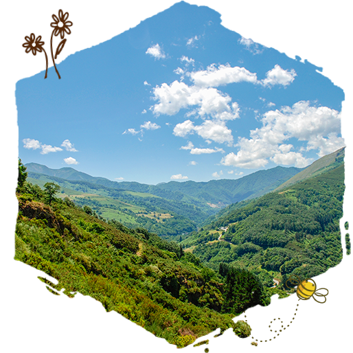 Colmenas de repoblación, natura