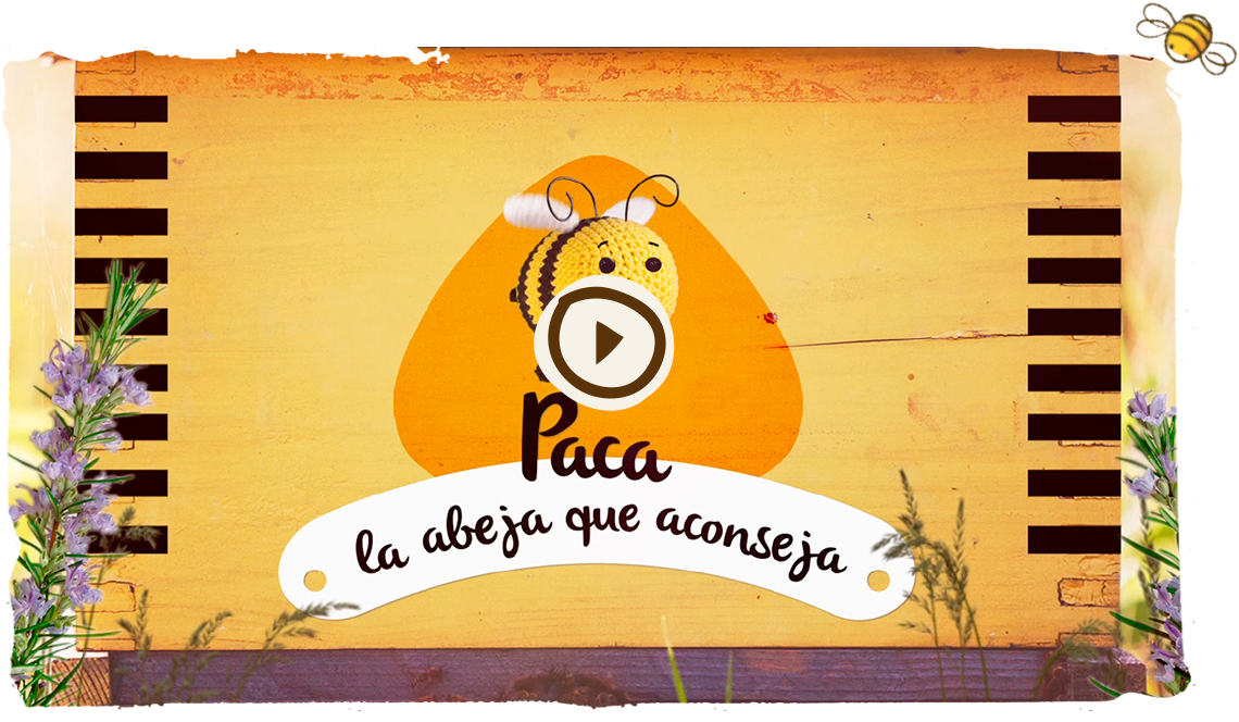 Tomas falsas, abeja Paca 4