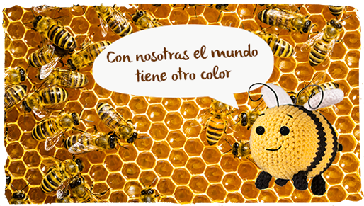 Día Mundial de las Abejas, abejas