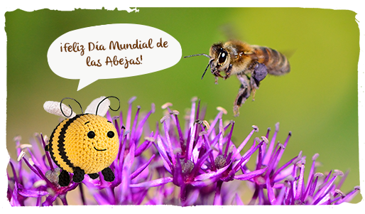 Día Mundial de las Abejas, abeja Paca