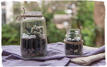 ¡Decora tu cactus para el Día Mundial del Reciclaje!