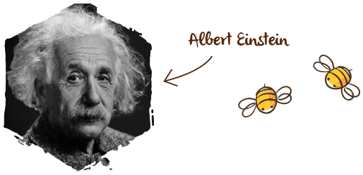 Día Mundial de las Abejas, Einstein