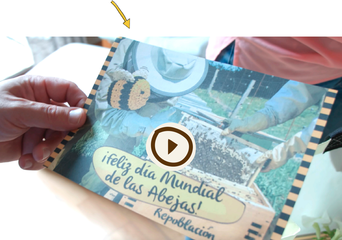 Día Mundial de las Abejas