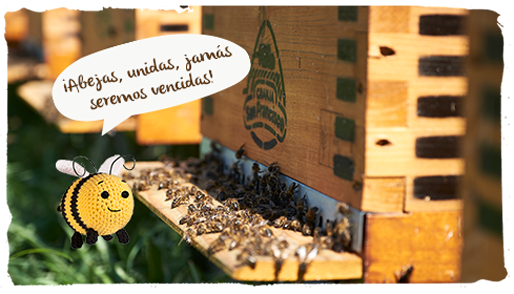 investigador del CSIC, abeja Paca