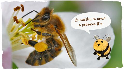 las abejas y las plantas, flor 1
