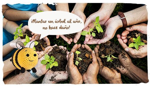 Parque Natural de Chera, plantar un arbol