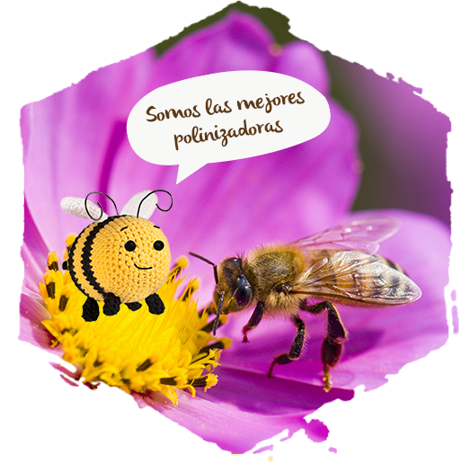 las abejas y las plantas, proceso polinización