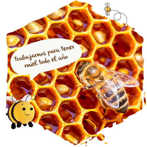 las plantas y las abejas, néctar