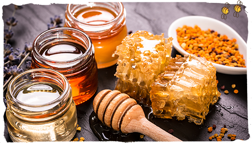 las plantas y las abejas, propóleos 2