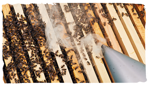 Las abejas y el humo, panales 3