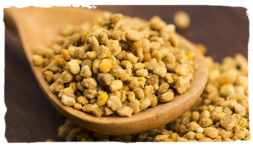 las plantas y las abejas, polen 2