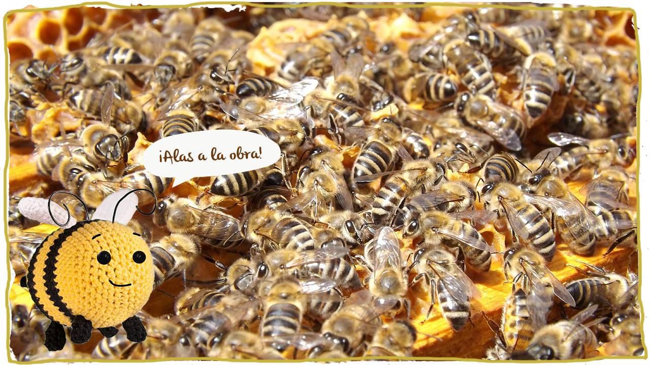 Dentro de la colmena, abeja obrera