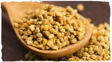 ¿Qué nos dan las plantas a las abejas?