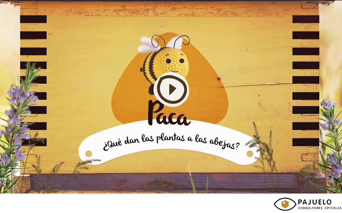 que dan las plantas y las abejas