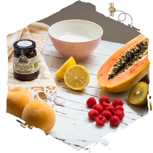 Helados de frutas naturales, ingredientes