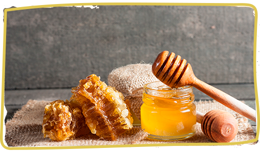 Los usos de la miel, alternativas naturales