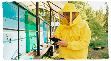 Colmenas inteligentes para cuidar a las abejas desde la distancia