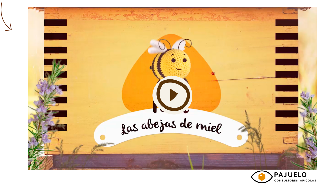 as razas de abejas