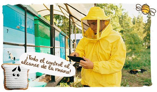 Colmenas inteligentes, panales