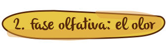 Cata de miel, el olor