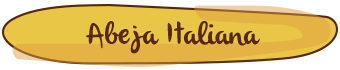las razas de abejas, abeja italiana