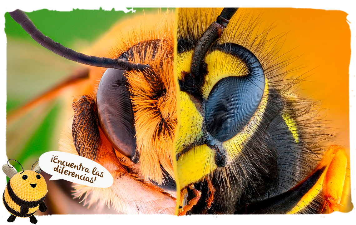las avispas y abejas