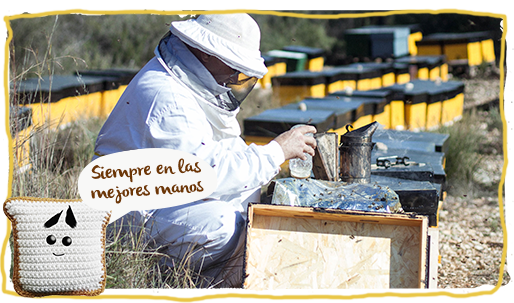 la jalea real pura, extracción 1