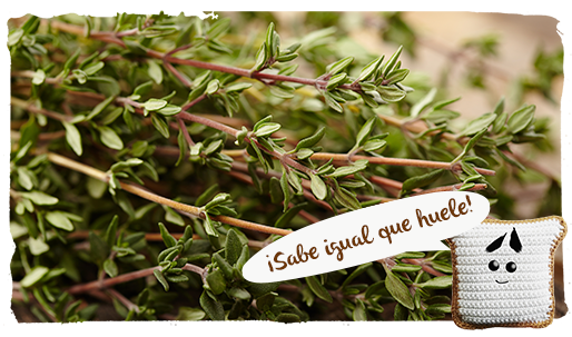 Tipos de miel, romero