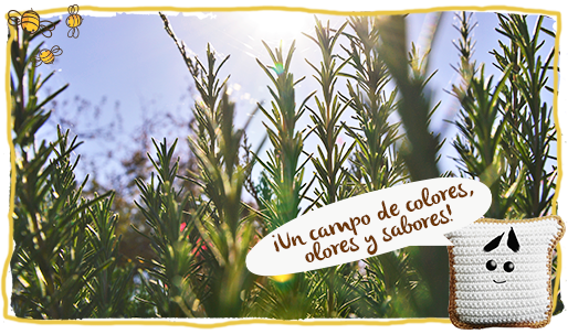 Tipos de miel, campo