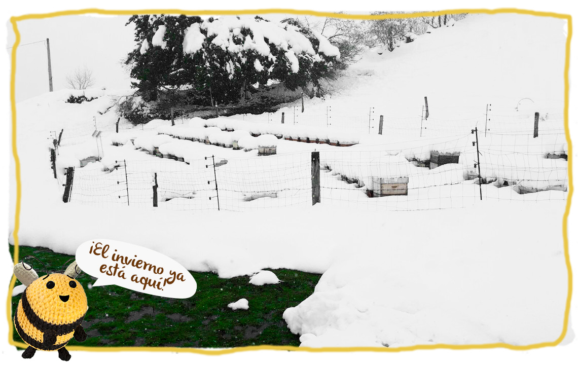 las abejas y el invierno