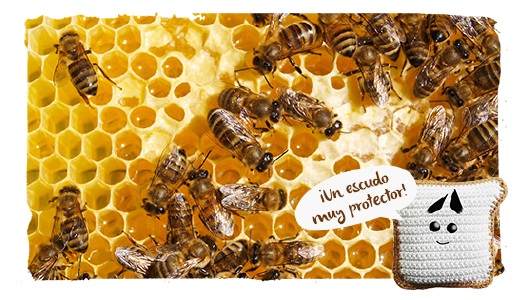 aprender de las abejas, cerebro