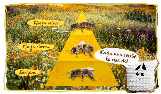 aprender de las abejas 3