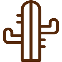 terrario suprareciclado, cactus