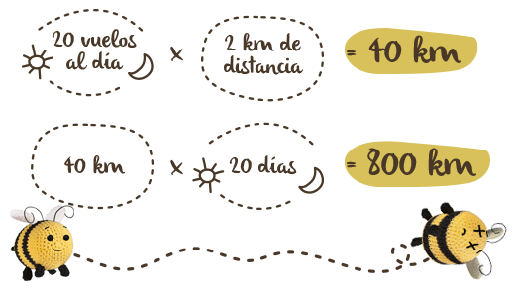 La vida de las abejas obreras, infografia