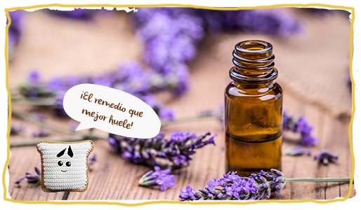 Remedios caseros para las picaduras de abeja, remedio 1