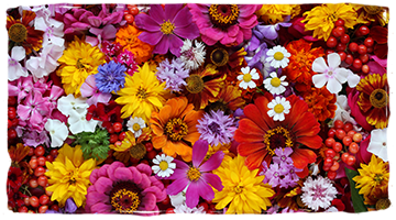 Los colores de la miel