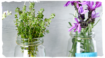 Maceta colgante para plantas aromáticas