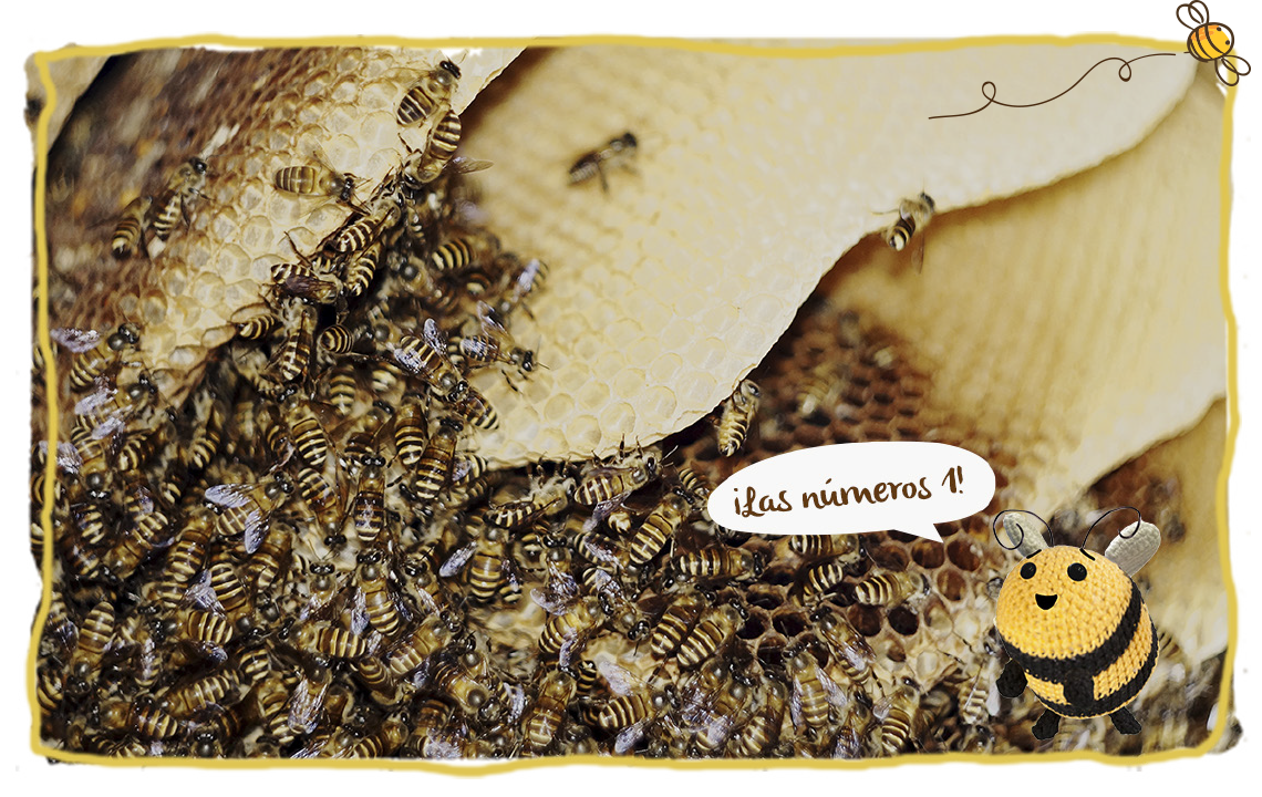La abejas: el animal más importante del mundo