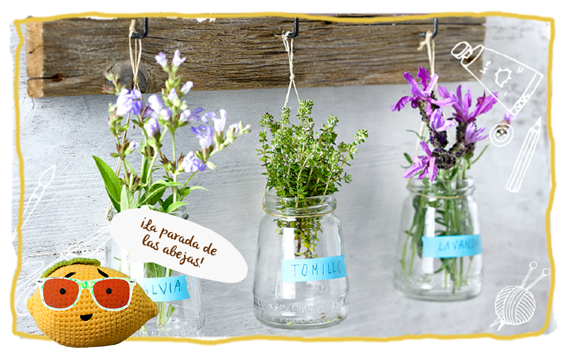 Maceta colgante para plantas aromáticas