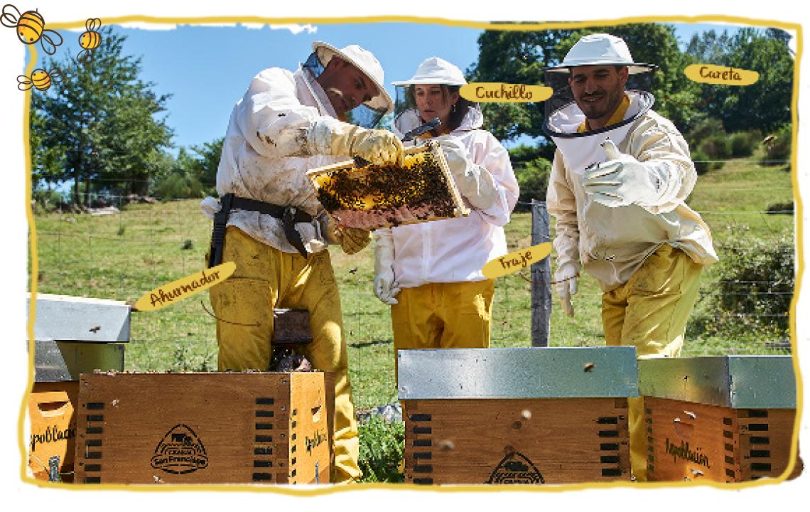 El equipo básico de los apicultores, colmenas
