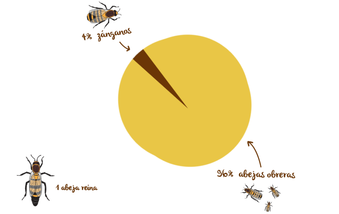El número de abejas de nuestras colmenas, grafico